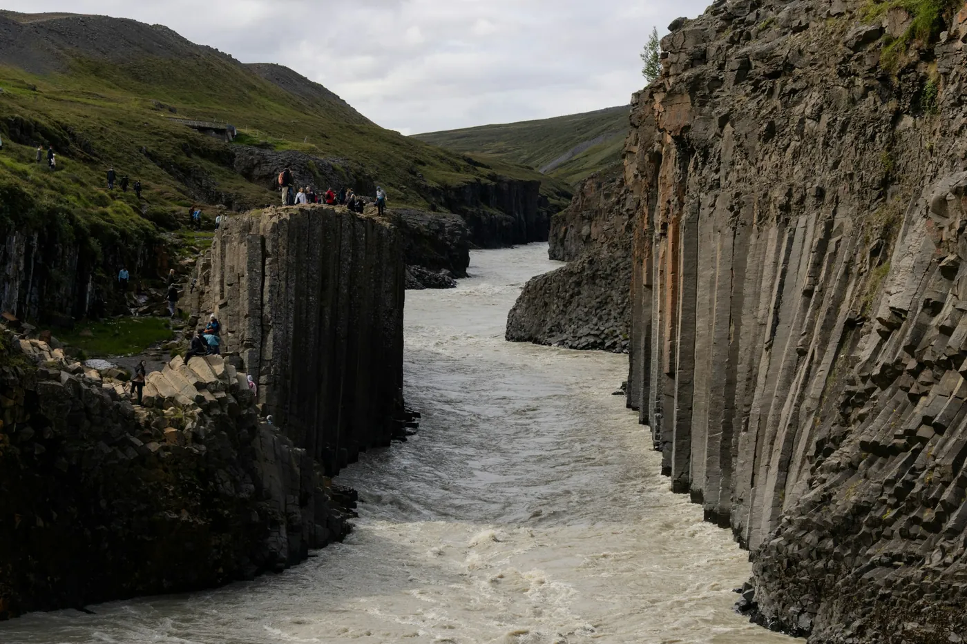 A glacial river rushing through a canyon lined with tall basalt columns, small visitors on the rim
